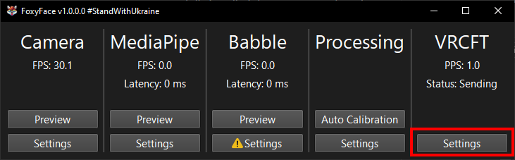 OpenVRCFTSettingsWindow
